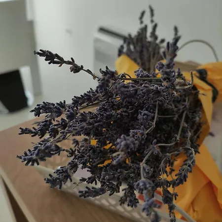 Bruno - Luxury Penthouse With Jacuzzi Appartement *