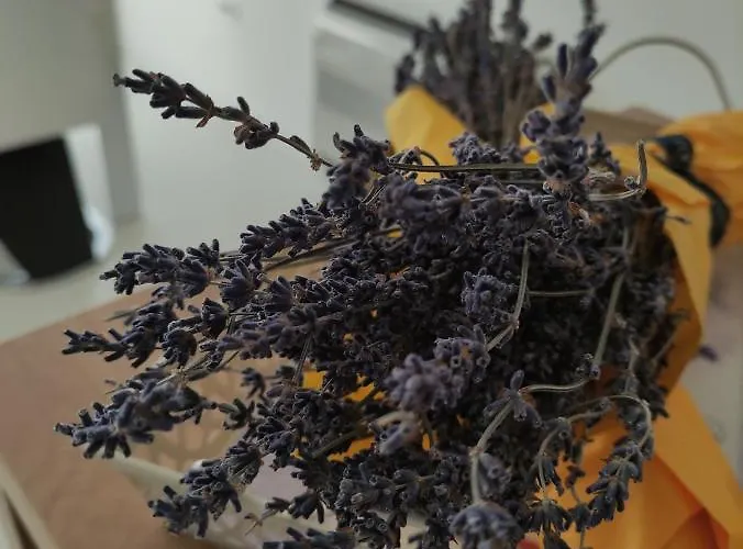 Bruno - Luxury Penthouse With Jacuzzi Apartamento *